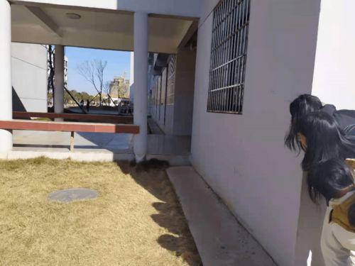 爬窗户吃瓜图,爬窗吃瓜的趣味瞬间