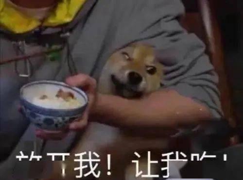 瓜哥带你吃瓜雷人广告,瓜哥带你领略雷人广告的独特魅力