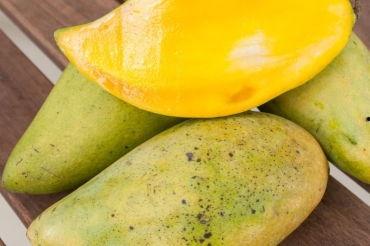 吃瓜卖凤梨,揭秘瓜农与凤梨商的甜蜜生意经