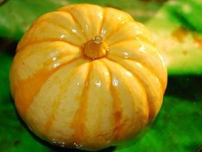 时瓜怎吃,解锁夏日清新口感