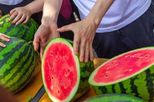 大学最新吃瓜事件,揭秘最新大学吃瓜事件背后的真相