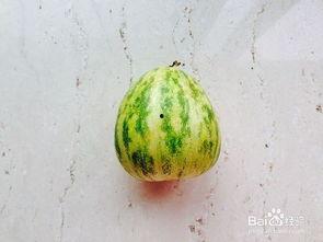 怎样吃瓜最方便,解锁便捷美味新姿势