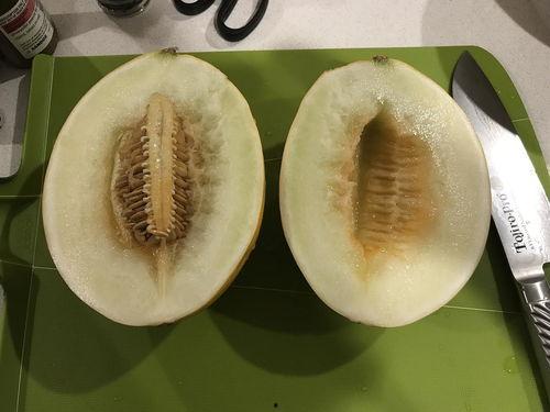 好日子吃瓜视频,揭秘娱乐圈幕后故事