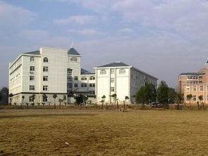 华东交通大学吃瓜,吃瓜群众揭秘校园美食风云