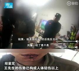 沙雕优雅吃瓜,揭秘网络时代的趣味现象