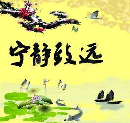 宁静致远吃瓜,品味人生百态