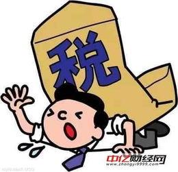 吃瓜群众中老六,吃瓜群众中的“瓜王”传奇