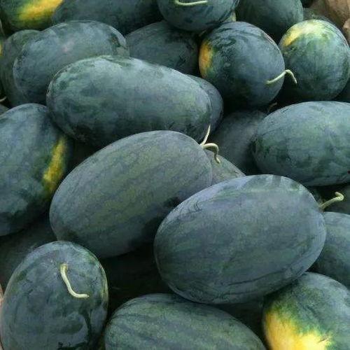 吃瓜号没了图片,揭秘网络舆论的变幻无常