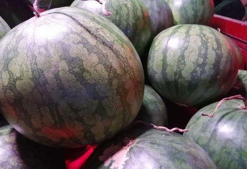 买瓜吃内脏,揭秘瓜农的生存智慧与生活哲学