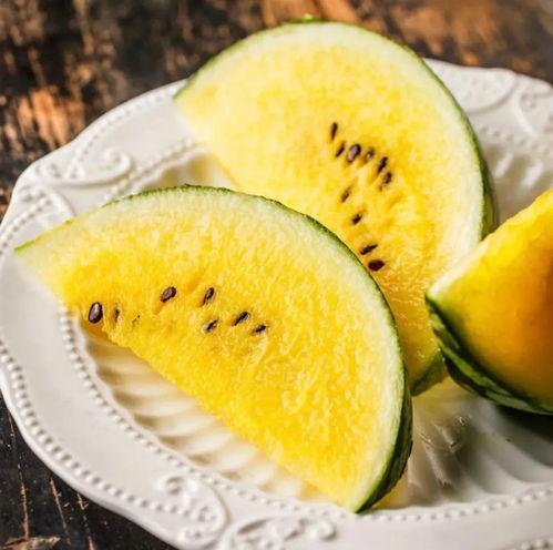 小费吃瓜,揭秘餐饮业中的“暗流涌动”