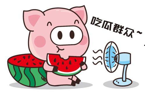 很烦各种吃瓜的人,寻找宁静人生之道