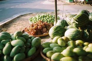 稻香村吃瓜群众,吃瓜群众的热议焦点