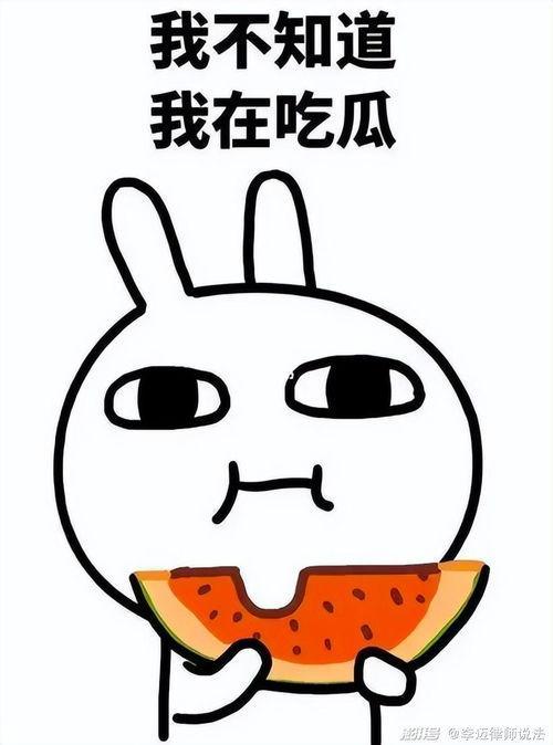 吃瓜专用小小号,小小号带你领略网络狂欢