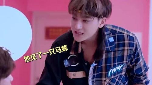 鹿哥吃瓜视频,揭秘娱乐圈幕后真相，带你领略明星们的真实生活