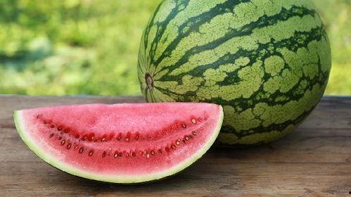 吃瓜会变瓜,揭秘神奇现象背后的科学奥秘