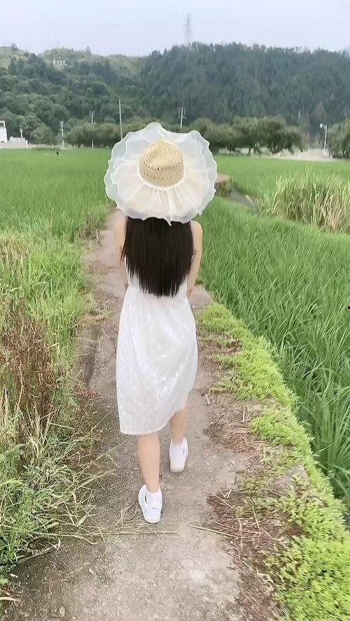 只想单纯吃瓜,揭秘娱乐圈那些不为人知的幕后故事