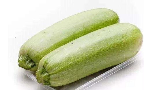 白瓜多少天可以吃