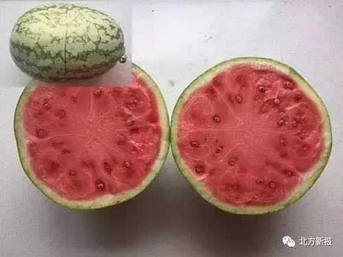 吃全部的瓜,尽享夏日甜蜜滋味