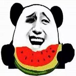 吃瓜群可爱头像,揭秘吃瓜群可爱头像背后的趣味故事