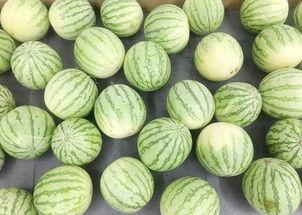 带你吃瓜之声音,带你领略“带你吃瓜”之声音的魅力