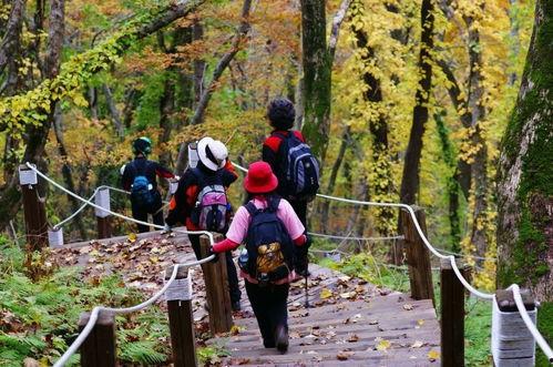 爬山吃秋瓜,品味秋瓜的甘甜时光