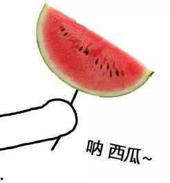 花海求婚吃瓜头像,吃瓜群众见证甜蜜瞬间