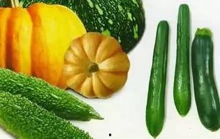 团宝园子吃瓜,吃瓜群众的热议焦点