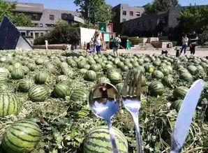 吃瓜群众央美,揭秘吃瓜群众眼中的艺术殿堂