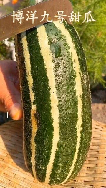 吃瓜熟了啥意思,揭秘娱乐圈背后的真相与秘密