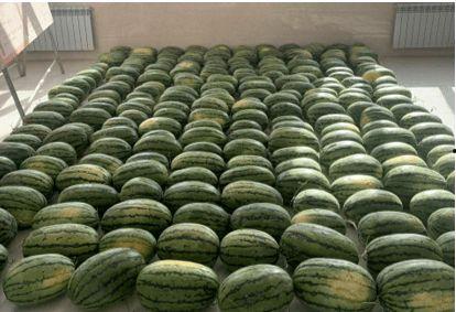 西南校园吃瓜,揭秘校园里的那些事儿