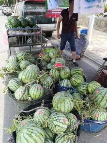 泉州直播吃瓜事件,网络直播中的道德争议与反思