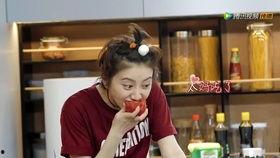 青春旅社吃瓜,揭秘网红宿舍的吃瓜日常