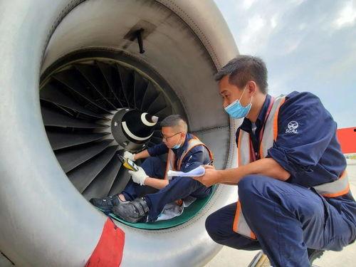 吃瓜前线飞机,揭秘飞机背后的故事与秘密