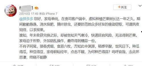 古文修仙吃瓜,修仙奇遇记之吃瓜趣事