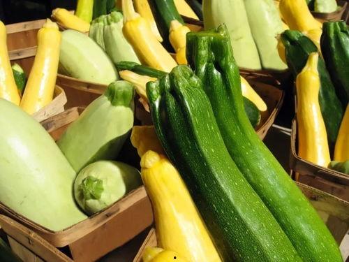 什么职业多瓜吃